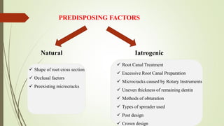 PREDISPOSING FACTORS
Natural Iatrogenic
 Shape of root cross section
 Occlusal factors
 Preexisting microcracks
 Root Canal Treatment
 Excessive Root Canal Preparation
 Microcracks caused by Rotary Instruments
 Uneven thickness of remaining dentin
 Methods of obturation
 Types of spreader used
 Post design
 Crown design
 