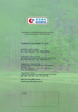 Vertical roots blower