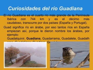 Curiosidades del río Guadiana
El río Guadiana es el cuarto río más grande de la Península
   Ibérica con 744 km y es el décimo más
   caudaloso, transcurre por dos países (España y Portugal).
Guad significa río en árabe, por eso tantos ríos en España
   empiezan así, porque le dieron nombre los árabes, por
   ejemplo:
   Guadalquivir, Guadiana, Guadarrama, Guadalete, Guadalh
   orce, Guadalimar, Guadiaro, Guadalupe.
 