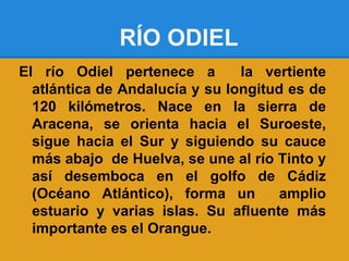 RÍO ODIEL
El río Odiel pertenece a        la vertiente
  atlántica de Andalucía y su longitud es de
  120 kilómetros. Nace en la sierra de
  Aracena, se orienta hacia el Suroeste,
  sigue hacia el Sur y siguiendo su cauce
  más abajo de Huelva, se une al río Tinto y
  así desemboca en el golfo de Cádiz
  (Océano Atlántico), forma un        amplio
  estuario y varias islas. Su afluente más
  importante es el Orangue.
 