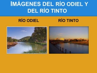 IMÁGENES DEL RÍO ODIEL Y
     DEL RÍO TINTO
  RÍO ODIEL    RÍO TINTO
 