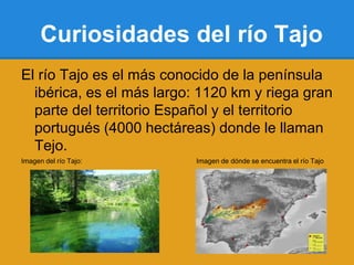 Curiosidades del río Tajo
El río Tajo es el más conocido de la península
  ibérica, es el más largo: 1120 km y riega gran
  parte del territorio Español y el territorio
  portugués (4000 hectáreas) donde le llaman
  Tejo.
Imagen del río Tajo:      Imagen de dónde se encuentra el río Tajo
 