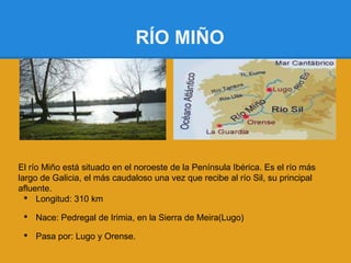 RÍO MIÑO




El río Miño está situado en el noroeste de la Península Ibérica. Es el río más
largo de Galicia, el más caudaloso una vez que recibe al río Sil, su principal
afluente.
  • Longitud: 310 km
 •   Nace: Pedregal de Irimia, en la Sierra de Meira(Lugo)

 •   Pasa por: Lugo y Orense.
 