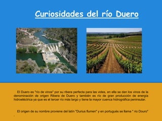 Curiosidades del río Duero




   El Duero es "río de vinos" por su ribera perfecta para las vides, en ella se dan los vinos de la
denominación de origen Ribera de Duero y también es río de gran producción de energía
hidroeléctrica ya que es el tercer río más largo y tiene la mayor cuenca hidrográfica peninsular.


    El origen de su nombre proviene del latín "Durius flumen" y en portugués se llama " rio Douro"
.
 