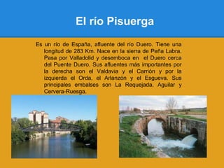 El río Pisuerga
Es un río de España, afluente del río Duero. Tiene una
   longitud de 283 Km. Nace en la sierra de Peña Labra.
   Pasa por Valladolid y desemboca en el Duero cerca
   del Puente Duero. Sus afluentes más importantes por
   la derecha son el Valdavia y el Carrión y por la
   izquierda el Orda, el Arlanzón y el Esgueva. Sus
   principales embalses son La Requejada, Aguilar y
   Cervera-Ruesga.
 