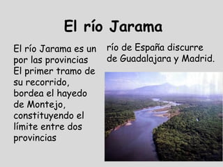 El río Jarama
El río Jarama es un   río de España discurre
por las provincias    de Guadalajara y Madrid.
El primer tramo de
su recorrido,
bordea el hayedo
de Montejo,
constituyendo el
límite entre dos
provincias
 