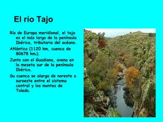 El río Tajo
Río de Europa meridional, el tajo
   es el más largo de la península
   Ibérica, tributario del océano.
Atlántico (1120 km, cuenca de
   80678 km ).
             2


Junto con el Guadiana, avena en
   la meseta sur de la península
   Ibérica.
Su cuenca se alarga de noreste a
   suroeste entre el sistema
   central y los montes de
   Toledo.
 