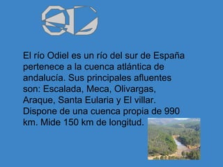 El río Odiel es un río del sur de España
pertenece a la cuenca atlántica de
andalucía. Sus principales afluentes
son: Escalada, Meca, Olivargas,
Araque, Santa Eularia y El villar.
Dispone de una cuenca propia de 990
km. Mide 150 km de longitud.
 