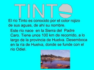 El río Tinto es conocido por el color rojizo
de sus aguas, de ahí su nombre.
 Este río nace en la Sierra del Padre
 Caro. Tiene unos 100 km de recorrido, a lo
 largo de la provincia de Huelva. Desemboca
 en la ría de Huelva, donde se funde con el
 río Odiel.
 