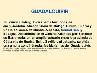 GUADALQUIVIR

 Su cuenca hidrográfica abarca territorios de
Jaén,Córdoba, Almería,Granada,Málaga, Sevilla, Huelva y
Cádiz, así como de Murcia, Albacete, Ciudad Real y
Badajoz. Desemboca en el Océano Atlántico por Sanlúcar
de Barrameda, en un amplio estuario entre la provincia de
Cádiz y la de Huelva. Entre Sevilla y el estuario, se sitúa
una amplia zona húmeda: las Marismas del Guadalquivir.
Es el quinto río por longitud de la península ibérica . En su recorrido por Andalucía de este a oeste,
atraviesa ciudades como Andújar, Sevilla o Córdoba.
 