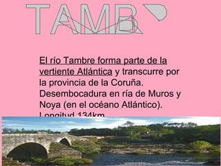 El río Tambre forma parte de la
vertiente Atlántica y transcurre por
la provincia de la Coruña.
Desembocadura en ría de Muros y
Noya (en el océano Atlántico).
Longitud 134km.
 