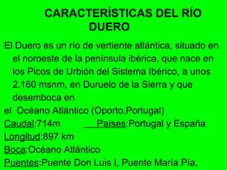 CARACTERÍSTICAS DEL RÍO
               DUERO
El Duero es un río de vertiente atlántica, situado en
  el noroeste de la península ibérica, que nace en
  los Picos de Urbión del Sistema Ibérico, a unos
  2.160 msnm, en Duruelo de la Sierra y que
  desemboca en
el Océano Atlántico (Oporto,Portugal)
Caudal:714m           Países:Portugal y España
Longitud:897 km
Boca:Océano Atlántico
Puentes:Puente Don Luis I, Puente María Pía,
 