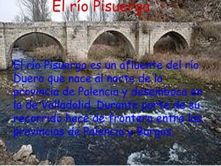 El río Pisuerga
        El río pisuerga

El río Pisuerga es un afluente del río
Duero que nace al norte de la
provincia de Palencia y desemboca en
la de Valladolid. Durante parte de su
recorrido hace de frontera entre las
provincias de Palencia y Burgos.
 