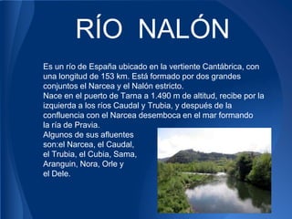RÍO NALÓN
Es un río de España ubicado en la vertiente Cantábrica, con
una longitud de 153 km. Está formado por dos grandes
conjuntos el Narcea y el Nalón estricto.
Nace en el puerto de Tarna a 1.490 m de altitud, recibe por la
izquierda a los ríos Caudal y Trubia, y después de la
confluencia con el Narcea desemboca en el mar formando
la ría de Pravia.
Algunos de sus afluentes
son:el Narcea, el Caudal,
el Trubia, el Cubia, Sama,
Aranguin, Nora, Orle y
el Dele.
 