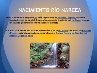 NACIMIENTO RÍO NARCEA
El río Narcea es el segundo río más importante de Asturias, España, tanto en
    longitud como en caudal. Es un afluente por la izquierda del río Nalón y sigue
    un trazado general en sentido suroeste-noreste


Nace en las Fuentes del Narcea y desemboca en el río Nalón a la altura de Forcinas
   (Pravia), estando parte de su curso alto en el Parque Natural de Fuentes del
   Narcea, Degaña e Ibias
 