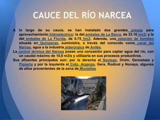 CAUCE DEL RÍO NARCEA
A lo largo de su cauce, se han instalado dos grandes presas para
   aprovechamiento hidroeléctrico: la del embalse de La Barca, de 33.16 hm3; y la
   del embalse de La Florida, de 0.75 hm3. Además, una estación de bombeo
   situada en Quinzanas, suministra, a través del conocido como canal del
   Narcea, agua a la industria siderúrgica de Avilés.
La central térmica del Narcea posee una concesión para captar agua del río, con
   un caudal máximo de 10,6 m3/s y utilizarla en sus procesos productivos.
Sus afluentes principales son: por la derecha el Naviego, Onón, Genestaza y
   Pigüeña y por la izquierda el Coto, Arganza, Gera, Rodical y Nonaya, algunos
   de ellos provenientes de la zona de Muniellos
 