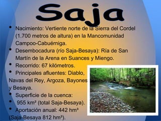 •  Nacimiento: Vertiente norte de la Sierra del Cordel
   (1.700 metros de altura) en la Mancomunidad
   Campoo-Cabuérniga.
•  Desembocadura (río Saja-Besaya): Ría de San
   Martín de la Arena en Suances y Miengo.
•  Recorrido: 67 kilómetros.
•  Principales afluentes: Diablo,
Navas del Rey, Argoza, Bayones
y Besaya.
•  Superficie de la cuenca:
•   955 km² (total Saja-Besaya).
•  Aportación anual: 442 hm³
(Saja-Besaya 812 hm³).
 