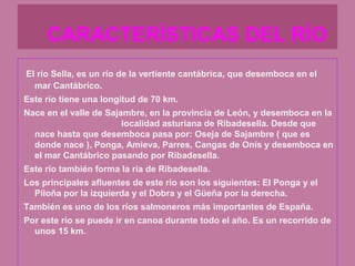 CARACTERÍSTICAS DEL RÍO
El río Sella, es un río de la vertiente cantábrica, que desemboca en el
  mar Cantábrico.
Este río tiene una longitud de 70 km.
Nace en el valle de Sajambre, en la provincia de León, y desemboca en la
                        localidad asturiana de Ribadesella. Desde que
  nace hasta que desemboca pasa por: Oseja de Sajambre ( que es
  donde nace ), Ponga, Amieva, Parres, Cangas de Onís y desemboca en
  el mar Cantábrico pasando por Ribadesella.
Este río también forma la ría de Ribadesella.
Los principales afluentes de este río son los siguientes: El Ponga y el
  Piloña por la izquierda y el Dobra y el Güeña por la derecha.
También es uno de los ríos salmoneros más importantes de España.
Por este río se puede ir en canoa durante todo el año. Es un recorrido de
  unos 15 km.
 