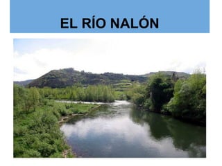 EL RÍO NALÓN
 