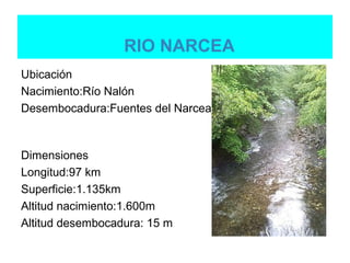 RIO NARCEA
Ubicación
Nacimiento:Río Nalón
Desembocadura:Fuentes del Narcea



Dimensiones
Longitud:97 km
Superficie:1.135km
Altitud nacimiento:1.600m
Altitud desembocadura: 15 m
 