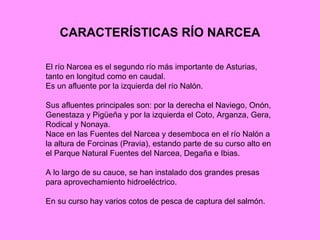 CARACTERÍSTICAS RÍO NARCEA

El río Narcea es el segundo río más importante de Asturias,
tanto en longitud como en caudal.
Es un afluente por la izquierda del río Nalón.

Sus afluentes principales son: por la derecha el Naviego, Onón,
Genestaza y Pigüeña y por la izquierda el Coto, Arganza, Gera,
Rodical y Nonaya.
Nace en las Fuentes del Narcea y desemboca en el río Nalón a
la altura de Forcinas (Pravia), estando parte de su curso alto en
el Parque Natural Fuentes del Narcea, Degaña e Ibias.

A lo largo de su cauce, se han instalado dos grandes presas
para aprovechamiento hidroeléctrico.

En su curso hay varios cotos de pesca de captura del salmón.
 