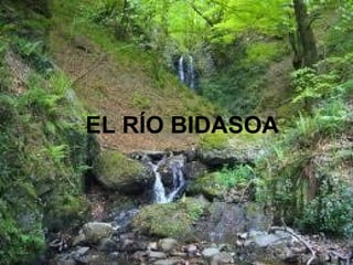 EL RÍO BIDASOA
 