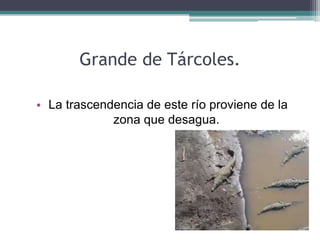 Grande de Tárcoles.
• La trascendencia de este río proviene de la
zona que desagua.
 