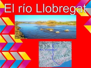 Vertiente mediterránea | PPT