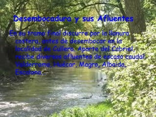 Desembocadura y sus Afluentes
En su tramo final discurre por la llanura
  costera, antes de desembocar en la
  localidad de Cullera. Aparte del Cabriel,
  recibe diversos afluentes de escaso caudal:
  Valderrama, Huécar, Magro, Albaida,
  Escalona...
 