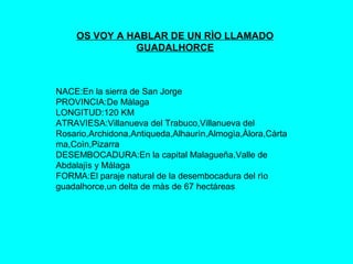 OS VOY A HABLAR DE UN RÌO LLAMADO
              GUADALHORCE



NACE:En la sierra de San Jorge
PROVINCIA:De Màlaga
LONGITUD:120 KM
ATRAVIESA:Villanueva del Trabuco,Villanueva del
Rosario,Archidona,Antiqueda,Alhaurìn,Almogìa,Àlora,Càrta
ma,Coìn,Pizarra
DESEMBOCADURA:En la capital Malagueña,Valle de
Abdalajìs y Málaga
FORMA:El paraje natural de la desembocadura del rìo
guadalhorce,un delta de màs de 67 hectáreas
 