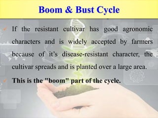 Vertifolia effect and boom and bust cycle | PPTX