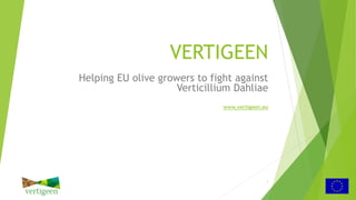 VERTIGEEN
Helping EU olive growers to fight against
Verticillium Dahliae
www.vertigeen.eu
1
 