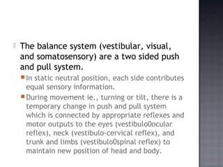Vertigo | PPT