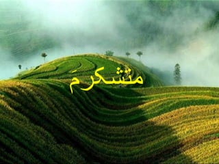 Vertigo and peripheral vestibular disorders