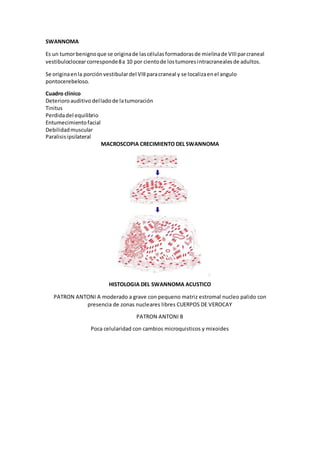 SWANNOMA
Es un tumorbenignoque se originade lascélulasformadorasde mielinade VIIIparcraneal
vestibuloclocearcorresponde8a 10 por cientode lostumoresintracranealesde adultos.
Se originaenla porciónvestibulardel VIIIparacraneal y se localizaenel angulo
pontocerebeloso.
Cuadro clínico
Deterioroauditivo delladode latumoración
Tinitus
Perdidadel equilibrio
Entumecimientofacial
Debilidadmuscular
Paralisisipsilateral
MACROSCOPIA CRECIMIENTO DEL SWANNOMA
HISTOLOGIA DEL SWANNOMA ACUSTICO
PATRON ANTONI A moderado a grave con pequeno matriz estromal nucleo palido con
presencia de zonas nucleares libres CUERPOS DE VEROCAY
PATRON ANTONI B
Poca celularidad con cambios microquisticos y mixoides
 