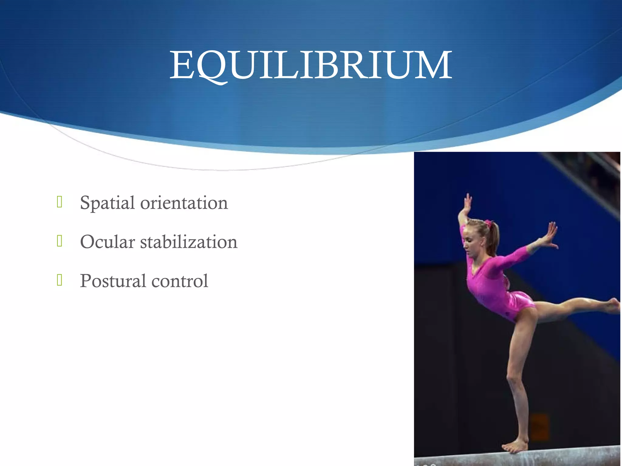  Spatial orientation
 Ocular stabilization
 Postural control
EQUILIBRIUM
 