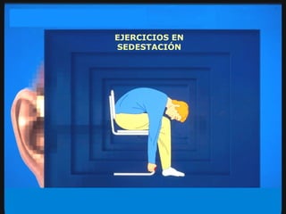 EJERCICIOS EN SEDESTACIÓN 