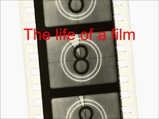 The life of a film 