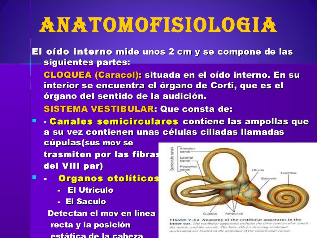  2012 11 15 Vertigo ppt 