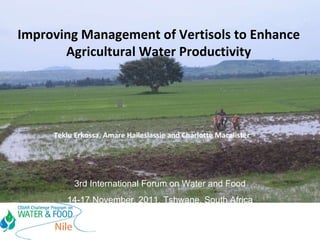 Improving Management of Vertisols to Enhance Agricultural Water Productivity Teklu Erkossa, Amare Haileslassie and Charlotte Macalister 3rd International Forum on Water and Food 14-17 November, 2011, Tshwane, South Africa 