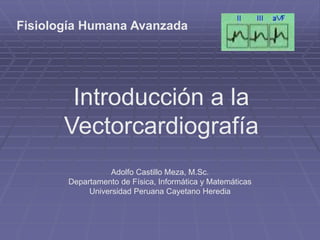 Introducción a la
Vectorcardiografía
Adolfo Castillo Meza, M.Sc.
Departamento de Física, Informática y Matemáticas
Universidad Peruana Cayetano Heredia
Fisiología Humana Avanzada
 