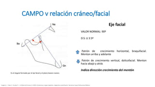 VERT RICKETS 5 ángulos a evaluar en el vert | PPTX
