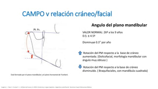 VERT RICKETS 5 ángulos a evaluar en el vert | PPTX