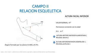 VERT RICKETS 5 ángulos a evaluar en el vert | PPTX