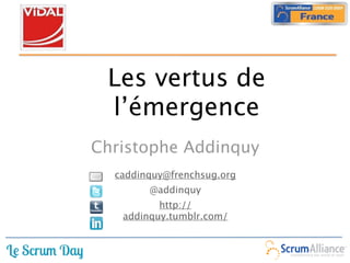 Les vertus de
 l’émergence 
           Texte

Christophe Addinquy
  caddinquy@frenchsug.org
        @addinquy
          http://
   addinquy.tumblr.com/
 