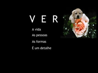 V E R
A vida
As pessoas
As formas
É um detalhe

 