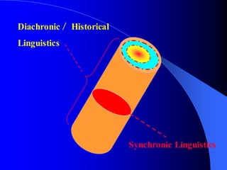 Synchronic Linguistics
Diachronic／ Historical
Linguistics
 