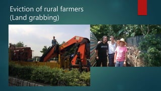 Eviction of rural farmers
(Land grabbing)
 