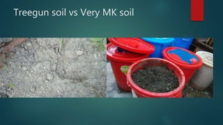 Treegun soil vs Very MK soil
 