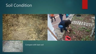 Soil Condition
Compare with bare soil
 